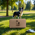 Portfel damski 8180 "Border collie"